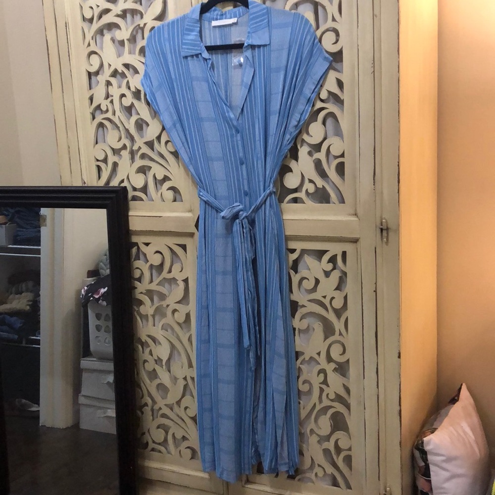 Pretty Blue Button-Down Shirt Dress